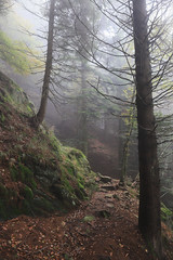 Italy / Piedmont - Val Grande National Park