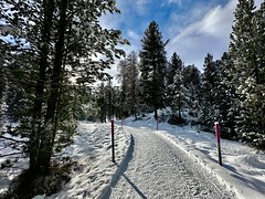 Winter hike