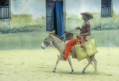 Goin' to town, Lamu, Kenya