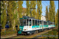 153-2024-10-18-1-Ricarda-Huch-Straße