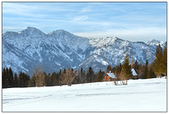 On a field of snow.