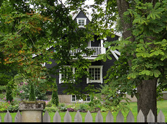 20220807_10 Handsome black house behind horse chestnut tree | The trail Hallandsleden (section: Nösslinge to Veddige), Halland, Sweden