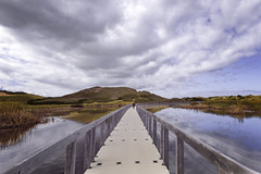 Floating Boardwalk of Greenwich