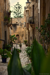 Street in Birgu, Malta