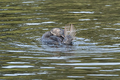 Big Swamp Parkland Busselton-8