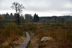 Small suspended path