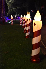 Candy Cane Avenue