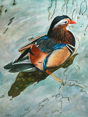 Mandarin Duck Painting