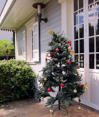 Reunion Island, Christmas tree