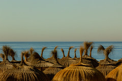 Day 359 - Beach parasols, Marbella, Spain 2023