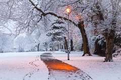 Burning path through the snow