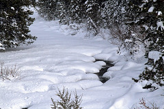 Upper Provo River