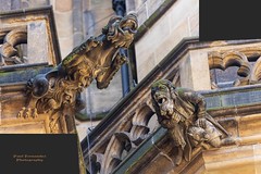 Collage of Prague Cathedral Grotesques 9 and 10, Prague, Czechia