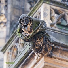 Prague Cathedral Grotesque 13 (Musician?), Prague, Czechia