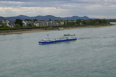 Rhein