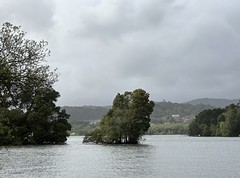 Vila Nova de Cerveira