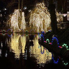 Tivoli Reflections