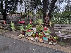 Holiday display on Fryer Creek Trail