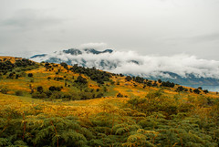 Wanaka region