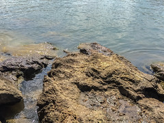 Eroded rocks at the edge of Fort Loudoun Lake, Lenoir City, Tennessee, USA