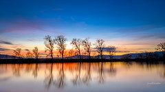 Blue - Golden hour on the calm river!