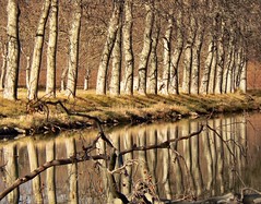 Le canal du Midi