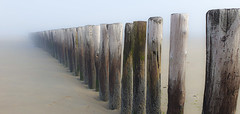 Mistige morgen op het strand van Breskens