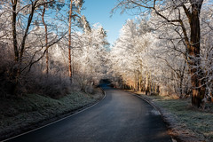 Cold and bright winter day