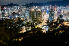 Seoul Never Sleeps