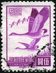 Taiwan 5 dollars Flying Geese postage stamp (1966)