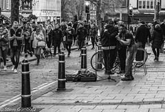 Singing to the  crowds in York