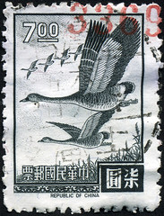 Taiwan 7 dollars Flying Geese postage stamp (1966)