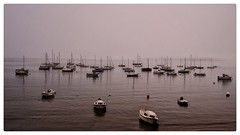 Paysage maritime à Douarnenez ⚓