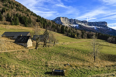 Ballade en Chartreuse  (Savoie 11/2024)