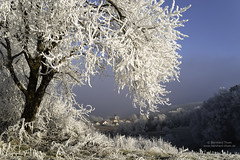 Hoarfrost at Ampertal