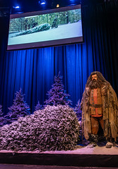 Hagrid, Harry Potter Studio Tour, Leavesden, 22 December 2024 (34)