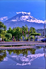 AREQUIPA - Perú, 2024. Campiña arequipeña