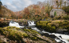 Cenarth Falls