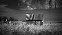 Long Views - Norwegian Coast