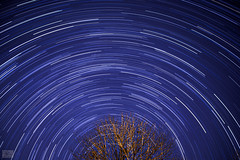 Star Trails