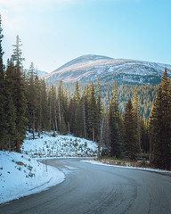 Downhill. Guanella Pass, Colorado. 2024.