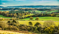 Beautiful Surrey. Church and village of Albury with Pitch Hill on the horizon, deep into autumn and nearing sunset, near Newlands Corner, North Downs, England.