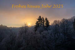 Frohes Neues Jahr / Happy New Year