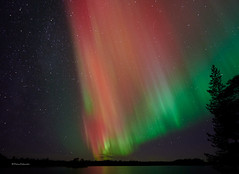 Aurora in Reivo nature reserve