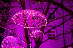 Lighted umbrellas hang from trees with pink Christmas lights decorate the Pink Christmas market in Munich Germany