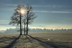 A frosty and sunny New Year’s morning - explored! Thanks!