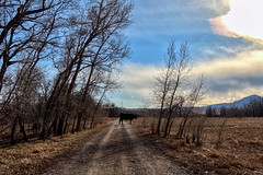 Sharing the trail