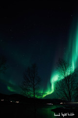 Aurora over Aursfjorden