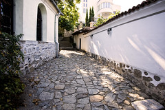 Cobblestone Path _2563