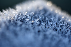 ice crystals